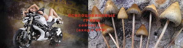 мефедрон мука Магас