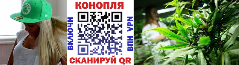 Купить закладки Петровск Марихуана Bruce Banner